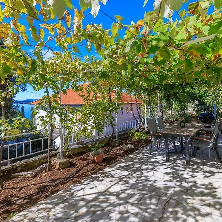 Apartamento Maja 100m From The