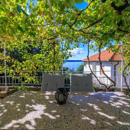 Apartamento Maja 100m From The *